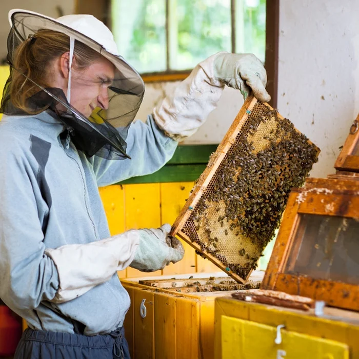 фото пчеловодов на пасеке